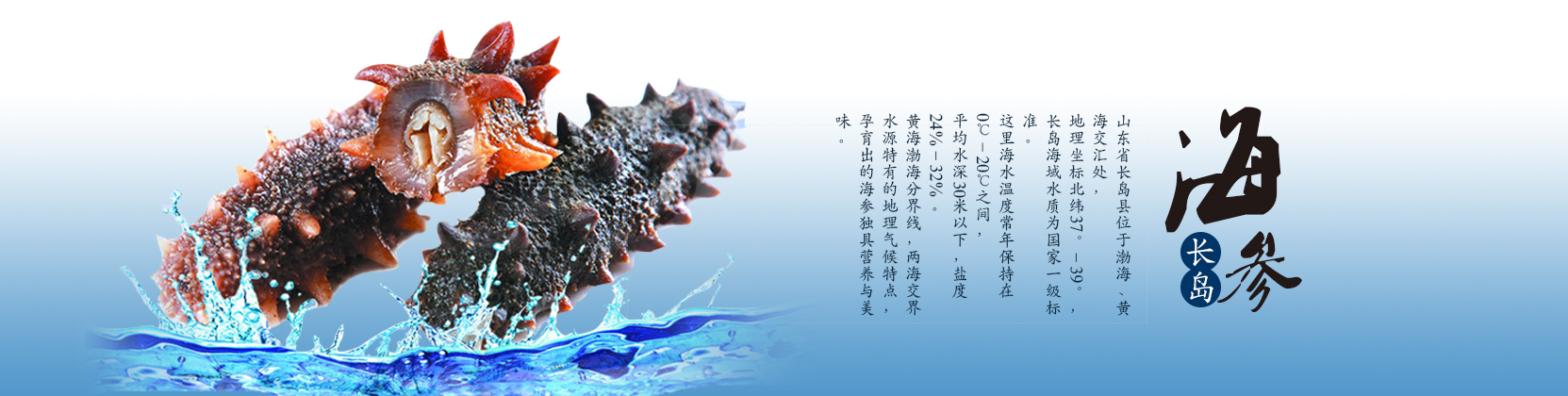 濟(jì)寧市力揚(yáng)環(huán)保節(jié)能設(shè)備制造有限公司